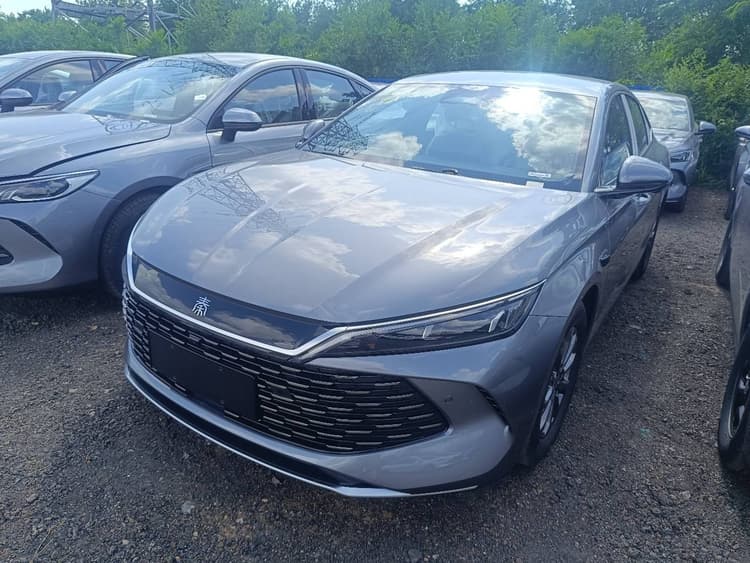 Qin L 2025 DM-i intelligent driving version 80KM leading
