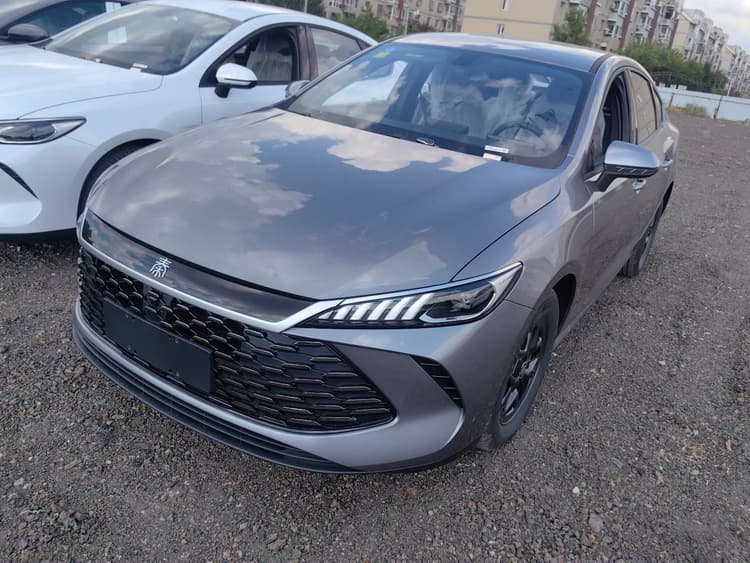 Qin PLUS 2025 DM-i Smart Driving Edition 55KM Leading Model