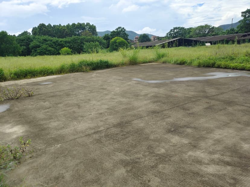 Zhaoqing B1499 Warehouse