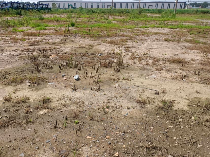 Weifang B1501 Warehouse